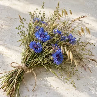Kleiner Bund blauer Kornblumen mit Wiesengräsern und Haferähren, mit Naturkordel gebunden